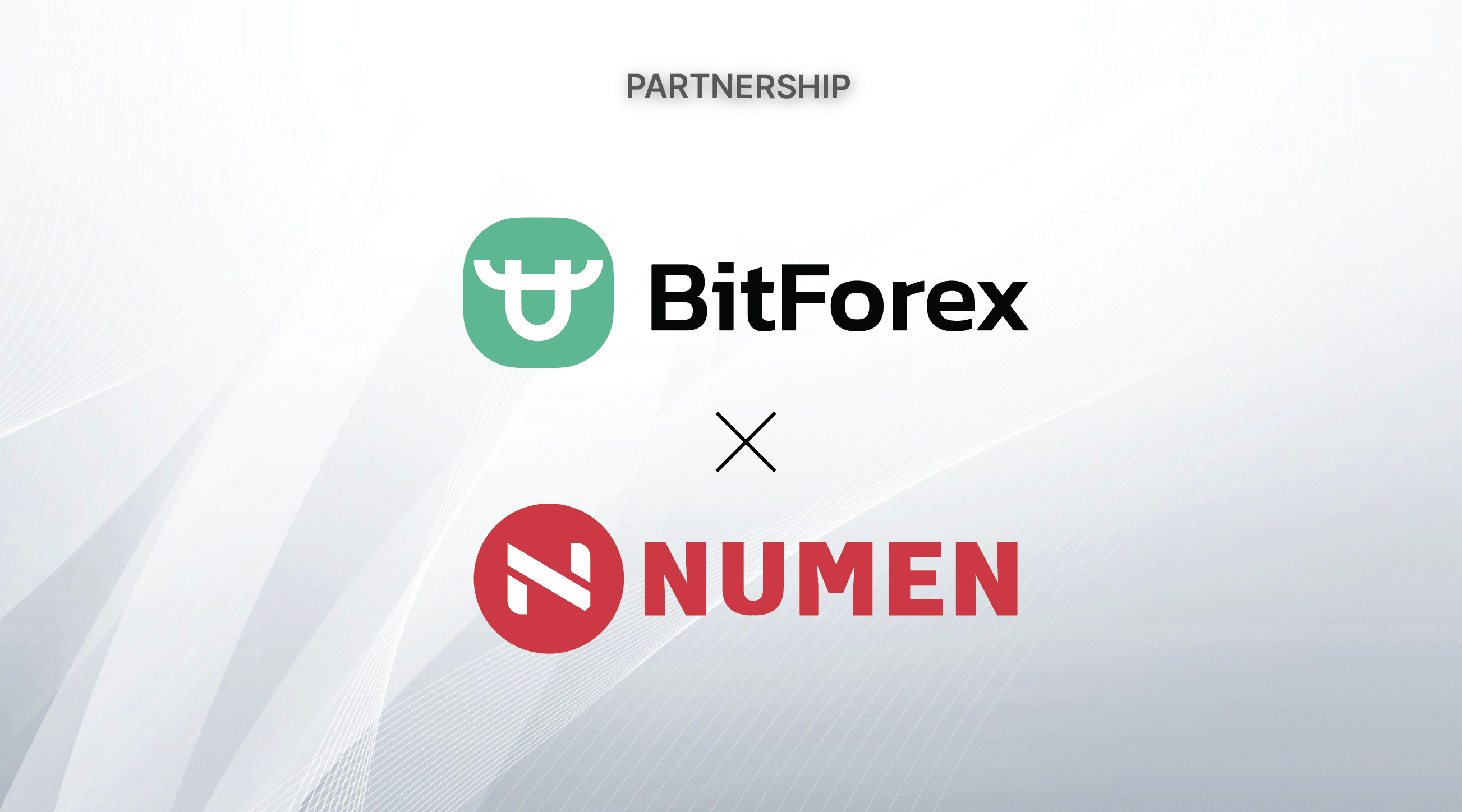 Numen x BitForex partnership graphics