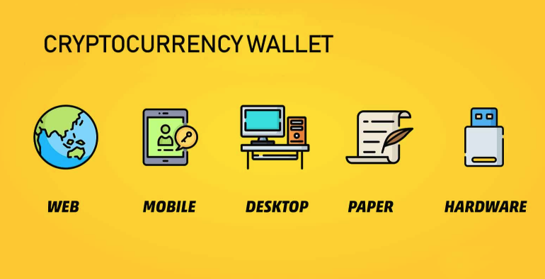 Cryptocurrency Wallet Access Infographic